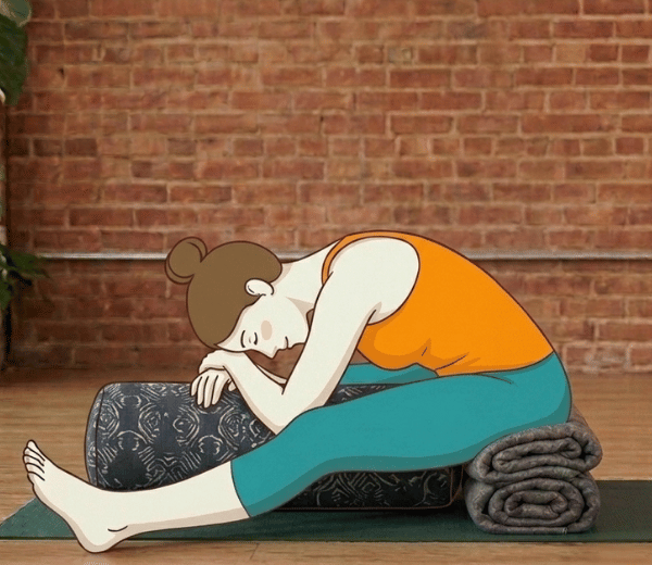 Torso resting comfortably on a bolster in a supported forward fold